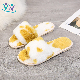 Low Price Latest New Design Woman Warm Winter Slipper