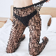  Customize Logo Fashion Fishnet Luxury Stockings Lady Letter Printed Mesh Tights Pantyhose