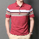 Polo Shirt Printing Polo Shirt with Your Polo Shirts 100% Cotton