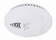  Stand Alone Smoke Alarm Dsw215
