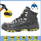  New Design Fashion Safety Boots Shoes with Steel Bottom Toe
