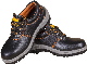 Genuine Leather Safety Shoe/Work Shoe/Safety Footwear/Shielding Shoes