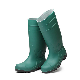 Work Shoes, Safety PVC Rain Boots for Icehouse Worker