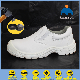  China Manufacturer of Safety Working Shoes for Nurse