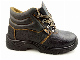  Waterproof Safety Shoe with Steel Toe Cap and Plate