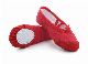 Ballet Shoes Girls Canvas Ballet Slipper/ Yoga Dance Shoes Esg13804