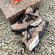  Men Air Jordan 4 Retro Taupe Haze Basketball Nike Shoes