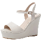  Ladies Summer New Wedge Heel Sandals Waterproof Platform Leisure Buckle Strap Peep-Toe Sandals for Women