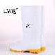  803 Double Steel Toe Midsole Waterproof Rubber PVC Working Protective Rain Boots