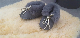  Best Selling Winter Baby Snow Boots Double Face for Home Unisex
