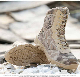  Military Tactical Outdoor Sports Boots Desert Python Camouflage Pattern