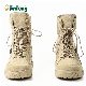  Jinteng New Design Comfortable Breathable Hiking Shoes Men Sports Boots