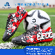  Wholesale Cheap Football Boots, Low Cut Soccer Cleats, Fashion Soccer Boots for Men Cr7 Football Shoes
