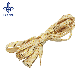  Fashion Shoelace with Custom Design Logo for Sport