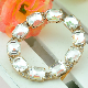  Fashion Rhinestone Shoe Buckle Accessories