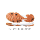 2023 Sneaker Sports Running Shoe Soles for Making Raw Rubber Custom Colors Sneaker Walking Shoes Soles