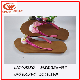  New Design Bowknot Ladies′ Flip Flops Lady Shoes Women Shoes Slipper