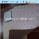  Shoe Paper Insole Singtex Insole Board for Shoes Footwear