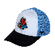 Baseball Cap Six Panel Hats Mesh Caps Hats with Printing Brim Logo