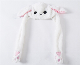Tik Tok Rabbit Airbag Cap