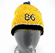  Hot Selling Winter Beanie Hats with Embrodiery Logo