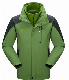  Windproof Fashion Custom Cotton Winter Jacket Coat