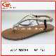  Summer Popular Ladies Slipper Simple Design Sandals for Girls Women Shoes
