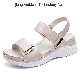 OEM Custom Non-Slip Fashion Ladies Sandals Shoes Slides Footwear Sandals