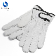  White Cowhide Layer Driver′s Gloves Wear Resistant Soft Gloves