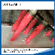  70g Latex Gloves