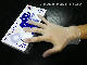  Clear Medical Vinyl Disposable Examination Glove PVC Hospital Protection