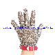  Cut Resistant Ring Mesh Iron Food Grade Metal Stainless Steel Glove/Butcher Cut Hand Protected Safety Security Steel Metal Mesh Gloves/Chain Mail Gloves