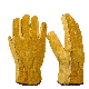  Men′s Work Cowhide Driver Security Protection Wear Safety Welding Motor Gloves