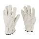  Top Cow Grain Leather Wing Thumb Unlined Driver Gloves
