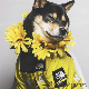  Waterproof Outdoor Large Dog Hoodie Coat Pet Reflective Raincoat