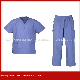 Custom Design Scrubs Uniform for School Student (H24)