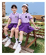 Summer Primary School Uniforms Customized Students Unifrom