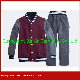  Custom Made Fashion Primary Middle School Uniform Designs and Sportswear (U166)