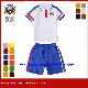  New Design Knit Unisex Blue Cotton Shirts for Kindergarten Primary Middle School Children Uniform (U109)
