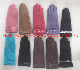  Lady Fashion Wool Touch Mobile Gloves (JYG-28010)