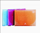  13 Pockets Expanding File with Button -F2161
