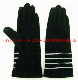  Lady Fashion Wool/Winter/Warm with Touch Screen Function Gloves (JYG-25071)
