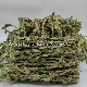  Rattan Green Leaf Braid Leaves Jute Rope Kindergarten Environmental Layout Materials