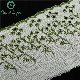  High-Quality Colorful Tc Lace