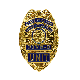  Custom Logo Military Army Security Metal Police Badge