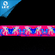  High Quality Cartoon Ribbon Printed Grosgrain Ribbon
