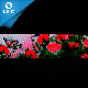  Factory Price Fashionable Design Pattern Printed Grosgrain Ribbon