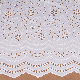 100% Cotton White Eyelet French Embroidery Lace Fabric for Women Dress