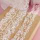 Popular Embroidery Eyelet Lace for Women Garment