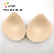  Wholesales Breathable and Wicking Cotton Swimwear Foam Sexy Seamless Invisible Lingerie Push up Half Bra Foam Cup